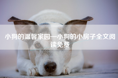 小狗的温馨家园—小狗的小房子全文阅读免费