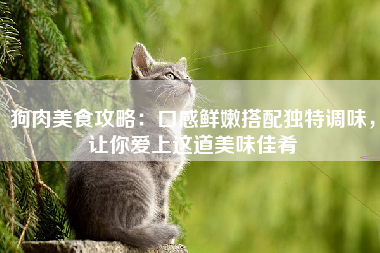 狗肉美食攻略：口感鲜嫩搭配独特调味，让你爱上这道美味佳肴