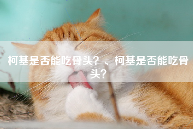 柯基是否能吃骨头？、柯基是否能吃骨头？