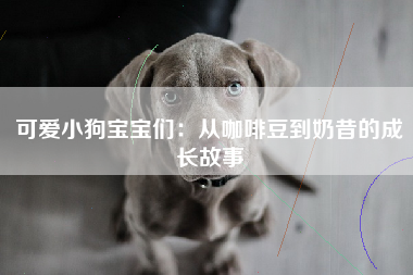 可爱小狗宝宝们：从咖啡豆到奶昔的成长故事