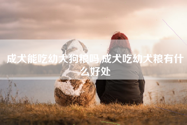 成犬能吃幼犬狗粮吗,成犬吃幼犬粮有什么好处