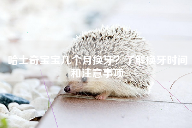 哈士奇宝宝几个月换牙？了解换牙时间和注意事项