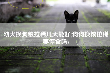 幼犬换狗粮拉稀几天能好(狗狗换粮拉稀要停食吗)