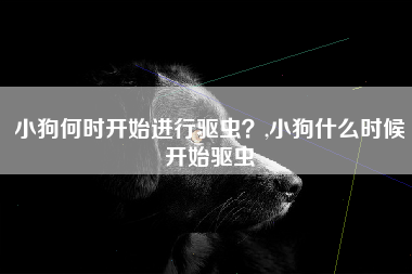 小狗何时开始进行驱虫？,小狗什么时候开始驱虫