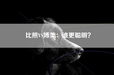 比熊VS博美：谁更聪明？