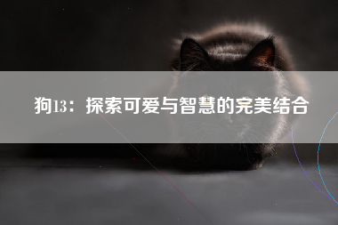 狗13：探索可爱与智慧的完美结合