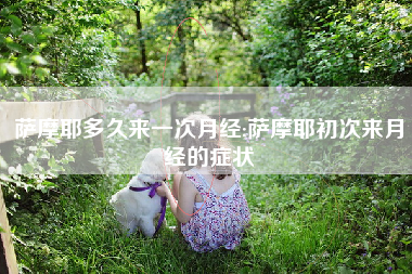 萨摩耶多久来一次月经;萨摩耶初次来月经的症状