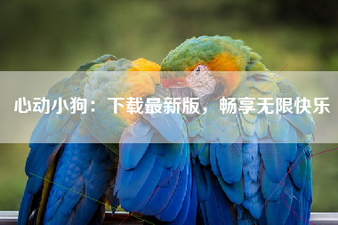 心动小狗：下载最新版，畅享无限快乐