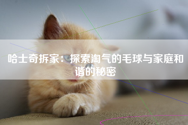 哈士奇拆家：探索淘气的毛球与家庭和谐的秘密