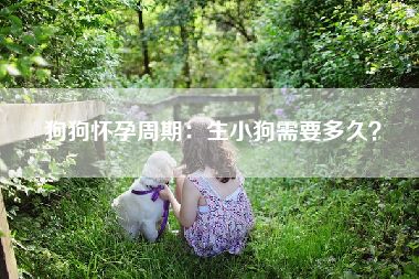 狗狗怀孕周期：生小狗需要多久？