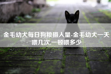 金毛幼犬每日狗粮摄入量-金毛幼犬一天喂几次,一顿喂多少