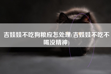 吉娃娃不吃狗粮应怎处理(吉娃娃不吃不喝没精神)