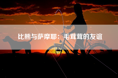 比熊与萨摩耶：毛茸茸的友谊