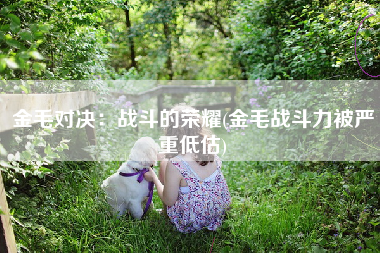 金毛对决：战斗的荣耀(金毛战斗力被严重低估)