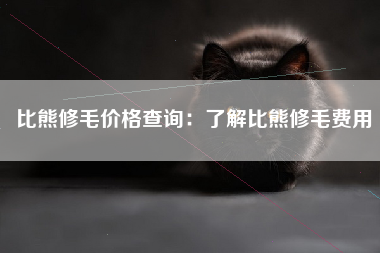 比熊修毛价格查询：了解比熊修毛费用