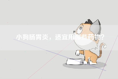 小狗肠胃炎，适宜用哪些药物？
