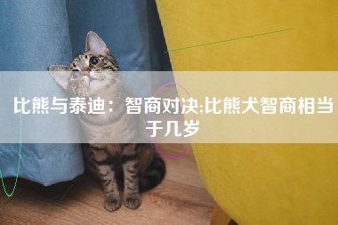 比熊与泰迪：智商对决;比熊犬智商相当于几岁