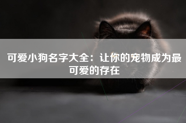可爱小狗名字大全：让你的宠物成为最可爱的存在