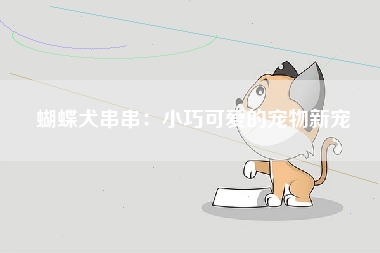 蝴蝶犬串串：小巧可爱的宠物新宠