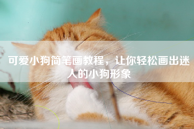 可爱小狗简笔画教程，让你轻松画出迷人的小狗形象