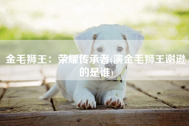 金毛狮王：荣耀传承者(演金毛狮王谢逊的是谁)