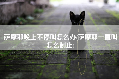 萨摩耶晚上不停叫怎么办(萨摩耶一直叫怎么制止)