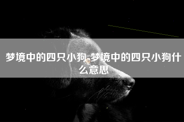 梦境中的四只小狗-梦境中的四只小狗什么意思