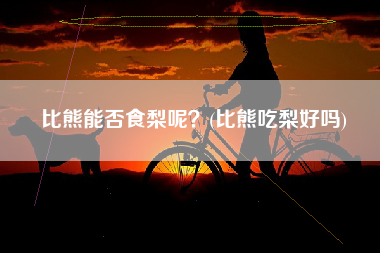 比熊能否食梨呢？(比熊吃梨好吗)