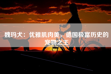 魏玛犬：优雅肌肉美，德国极富历史的宠物之王