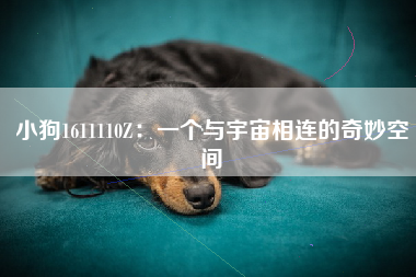 小狗1611110Z：一个与宇宙相连的奇妙空间