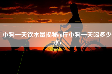 小狗一天饮水量揭秘(6斤小狗一天喝多少水)