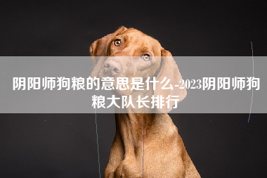 阴阳师狗粮的意思是什么-2023阴阳师狗粮大队长排行