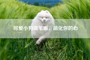 可爱小狗简笔画，萌化你的心