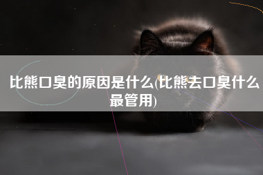 比熊口臭的原因是什么(比熊去口臭什么最管用)