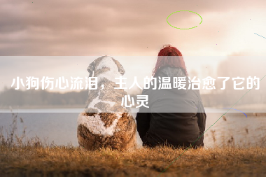 小狗伤心流泪，主人的温暖治愈了它的心灵
