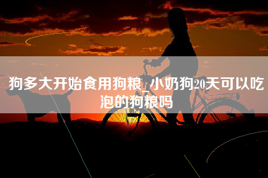 狗多大开始食用狗粮_小奶狗20天可以吃泡的狗粮吗