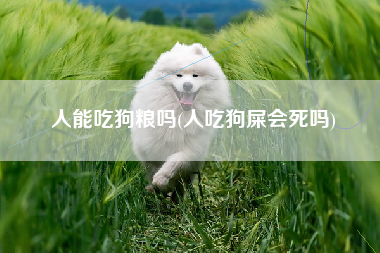 人能吃狗粮吗(人吃狗屎会死吗)