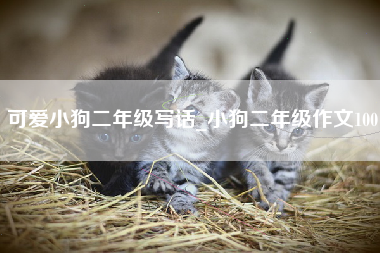 可爱小狗二年级写话_小狗二年级作文100