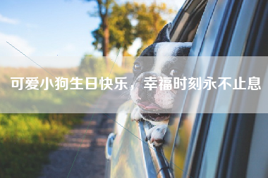 可爱小狗生日快乐，幸福时刻永不止息