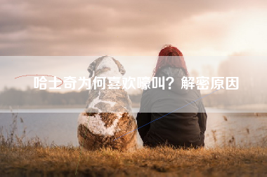 哈士奇为何喜欢嚎叫？解密原因