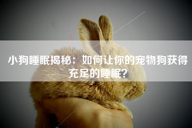 小狗睡眠揭秘：如何让你的宠物狗获得充足的睡眠？