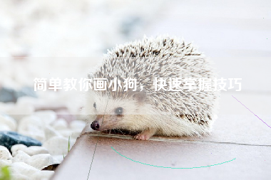 简单教你画小狗，快速掌握技巧