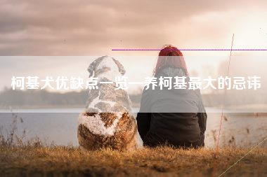柯基犬优缺点一览—养柯基最大的忌讳