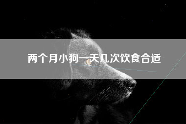 两个月小狗一天几次饮食合适
