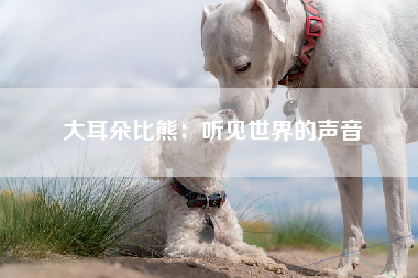大耳朵比熊：听见世界的声音
