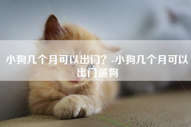 小狗几个月可以出门？-小狗几个月可以出门遛狗