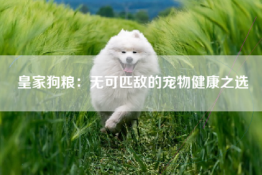 皇家狗粮：无可匹敌的宠物健康之选