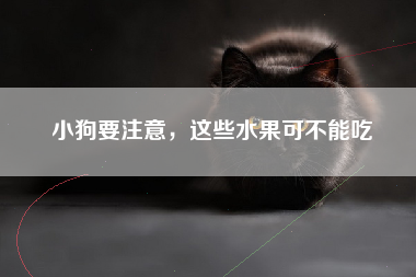 小狗要注意，这些水果可不能吃