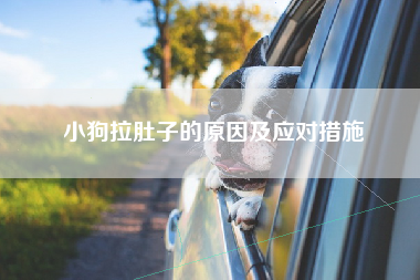小狗拉肚子的原因及应对措施