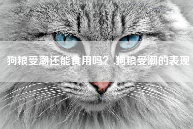 狗粮受潮还能食用吗？,狗粮受潮的表现